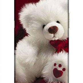F7 - OPPO (Teddy Bear Design Mobile Back Cover) (F7-OPPO(TeddyBearDesignMobileBackCover) )